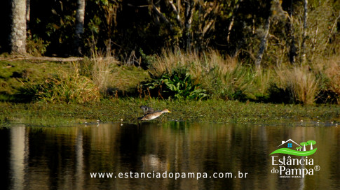 DOS EÓLICOS VIRA P FAZENDA_Moment.00_00_32_11.Quadro331_2ab6615ff8ef6cc92d7807d477f2edc852e4b28c.jpg